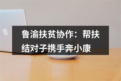 鲁渝扶贫协作：帮扶结对子携手奔小康