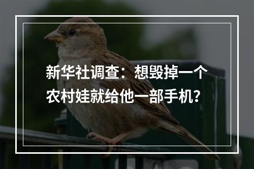 新华社调查：想毁掉一个农村娃就给他一部手机？