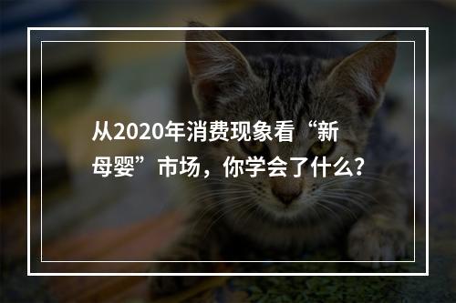 从2020年消费现象看“新母婴”市场，你学会了什么？