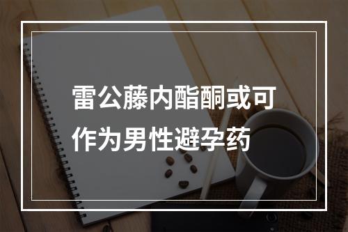 雷公藤内酯酮或可作为男性避孕药