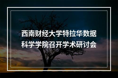 西南财经大学特拉华数据科学学院召开学术研讨会