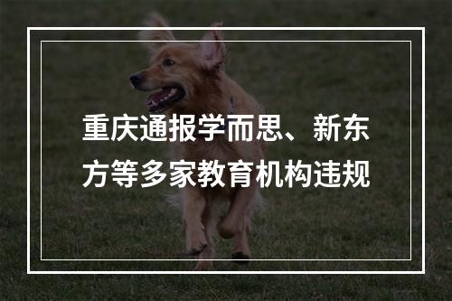 重庆通报学而思、新东方等多家教育机构违规