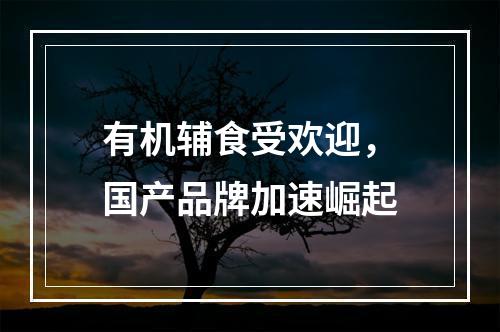 有机辅食受欢迎，国产品牌加速崛起