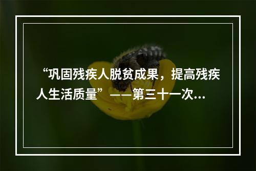 “巩固残疾人脱贫成果，提高残疾人生活质量”——第三十一次全国助残日主题发布