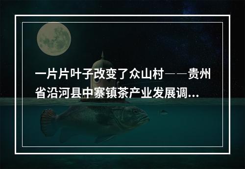 一片片叶子改变了众山村――贵州省沿河县中寨镇茶产业发展调查