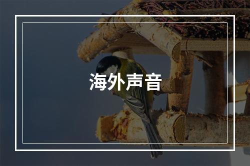 海外声音