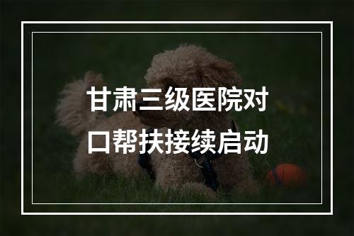 甘肃三级医院对口帮扶接续启动