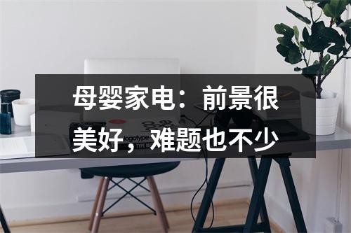 母婴家电：前景很美好，难题也不少