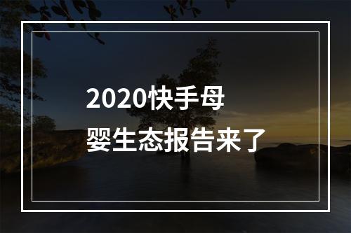 2020快手母婴生态报告来了