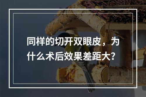 同样的切开双眼皮，为什么术后效果差距大？