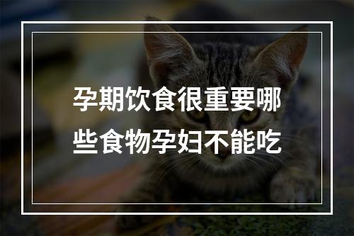 孕期饮食很重要哪些食物孕妇不能吃