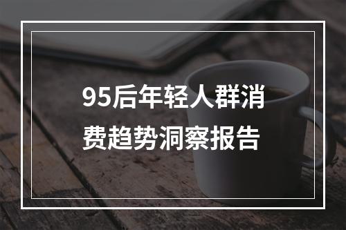 95后年轻人群消费趋势洞察报告