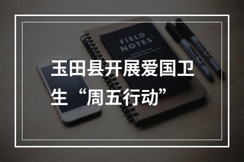 玉田县开展爱国卫生“周五行动”