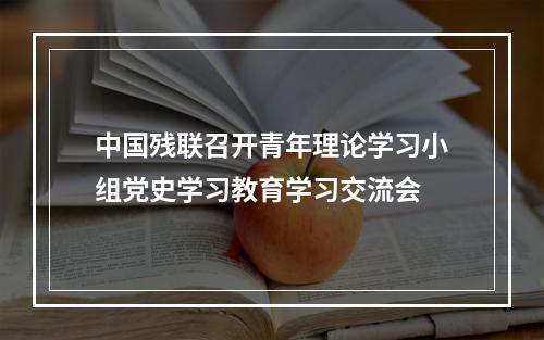 中国残联召开青年理论学习小组党史学习教育学习交流会