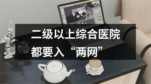 二级以上综合医院都要入“两网”