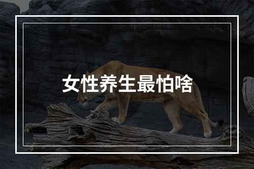 女性养生最怕啥