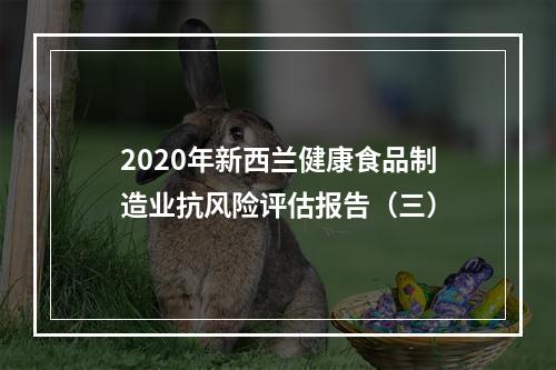 2020年新西兰健康食品制造业抗风险评估报告（三）