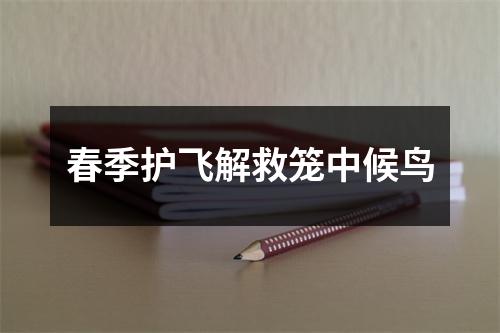 春季护飞解救笼中候鸟
