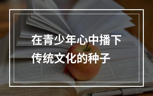 在青少年心中播下传统文化的种子