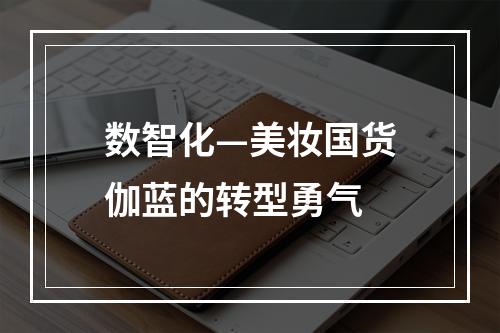 数智化—美妆国货伽蓝的转型勇气