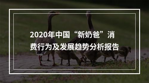 2020年中国“新奶爸”消费行为及发展趋势分析报告