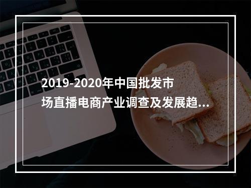 2019-2020年中国批发市场直播电商产业调查及发展趋势报告