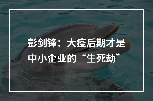 彭剑锋：大疫后期才是中小企业的“生死劫”