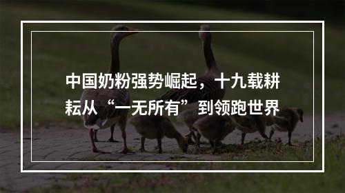 中国奶粉强势崛起，十九载耕耘从“一无所有”到领跑世界
