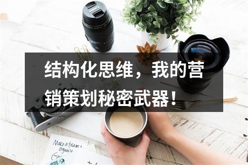 结构化思维，我的营销策划秘密武器！