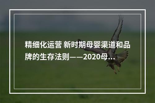 精细化运营 新时期母婴渠道和品牌的生存法则——2020母婴行业新增长路径（二）
