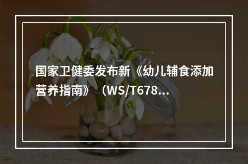 国家卫健委发布新《幼儿辅食添加营养指南》（WS/T678—2020）