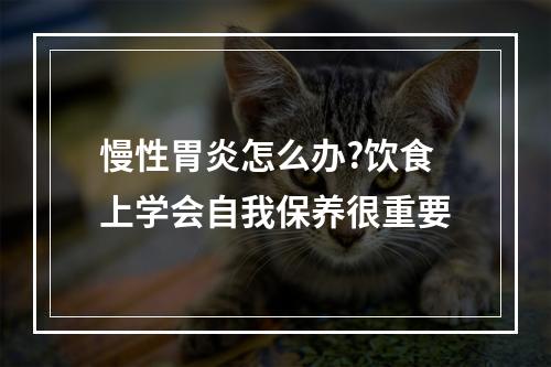 慢性胃炎怎么办?饮食上学会自我保养很重要