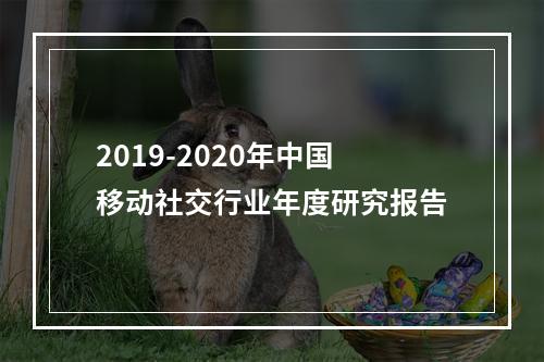 2019-2020年中国移动社交行业年度研究报告