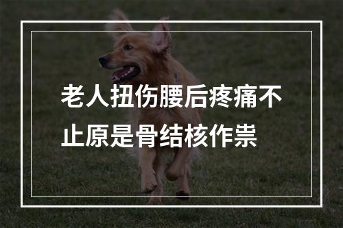 老人扭伤腰后疼痛不止原是骨结核作祟