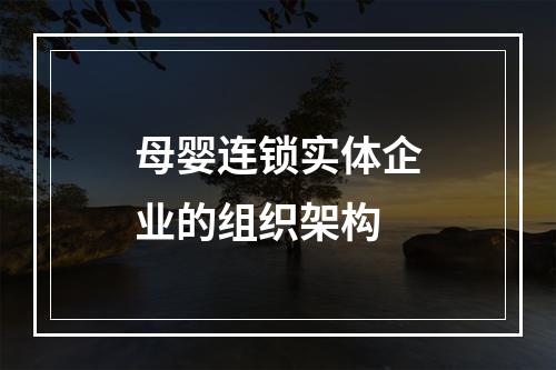 母婴连锁实体企业的组织架构
