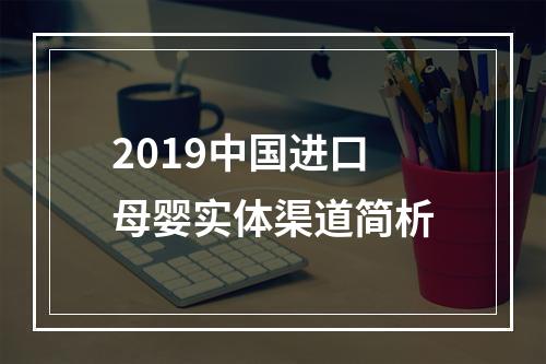 2019中国进口母婴实体渠道简析