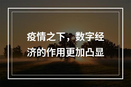 疫情之下，数字经济的作用更加凸显