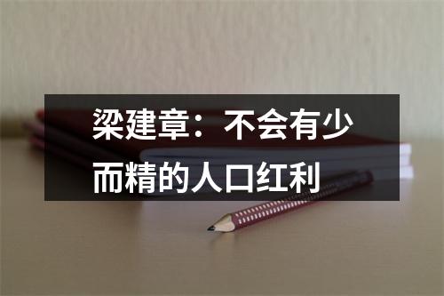 梁建章：不会有少而精的人口红利