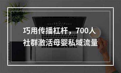 巧用传播杠杆，700人社群激活母婴私域流量