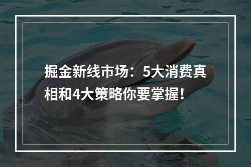 掘金新线市场：5大消费真相和4大策略你要掌握！