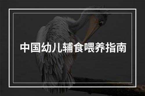 中国幼儿辅食喂养指南