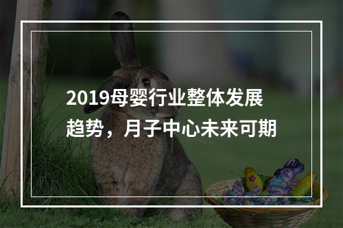 2019母婴行业整体发展趋势，月子中心未来可期