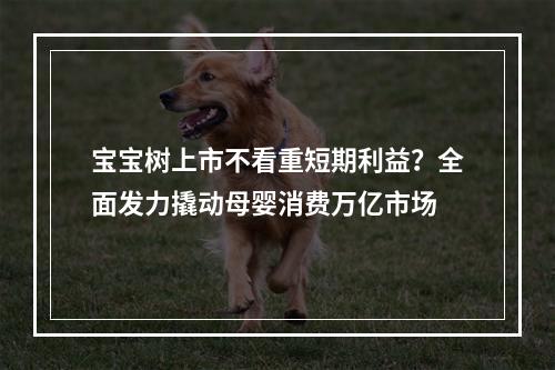 宝宝树上市不看重短期利益？全面发力撬动母婴消费万亿市场
