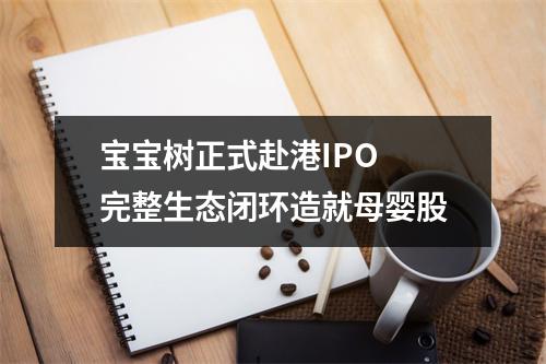 宝宝树正式赴港IPO 完整生态闭环造就母婴股