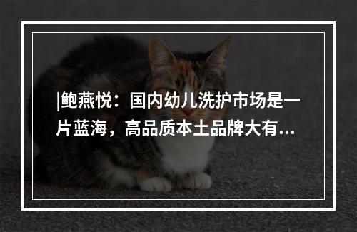 |鲍燕悦：国内幼儿洗护市场是一片蓝海，高品质本土品牌大有机会