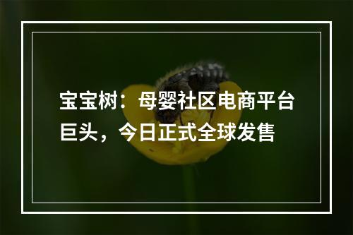 宝宝树：母婴社区电商平台巨头，今日正式全球发售