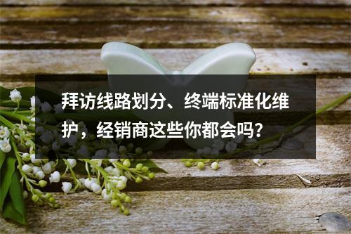拜访线路划分、终端标准化维护，经销商这些你都会吗？