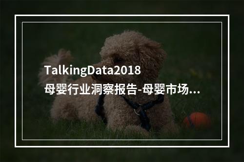 TalkingData2018母婴行业洞察报告-母婴市场前景可期，呈现多元化消费升级！