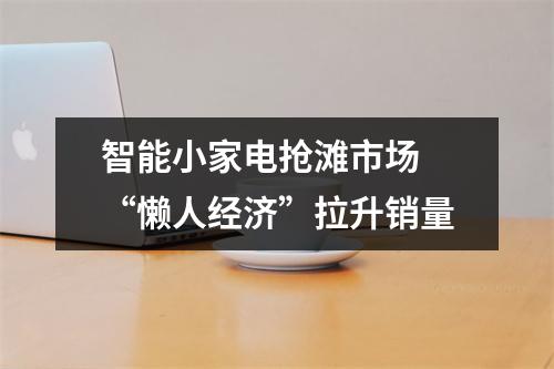 智能小家电抢滩市场 “懒人经济”拉升销量