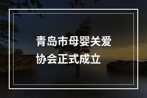 青岛市母婴关爱协会正式成立